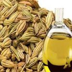 روغن رازیانه درمانی برای موهای زائد/طرز تهیه