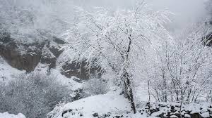  بارش ناگهانی برف پاییزی در مازندران